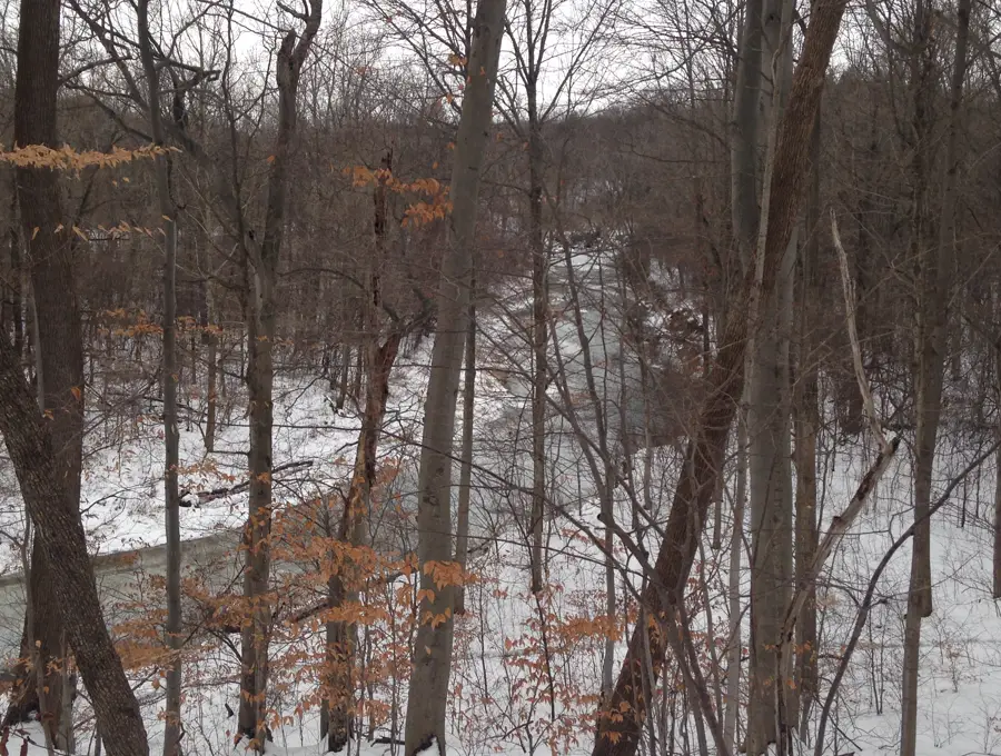 Medway Valley Heritage Forest, Masonville