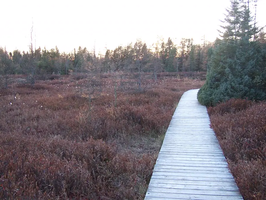 Sifton Bog, Oakridge